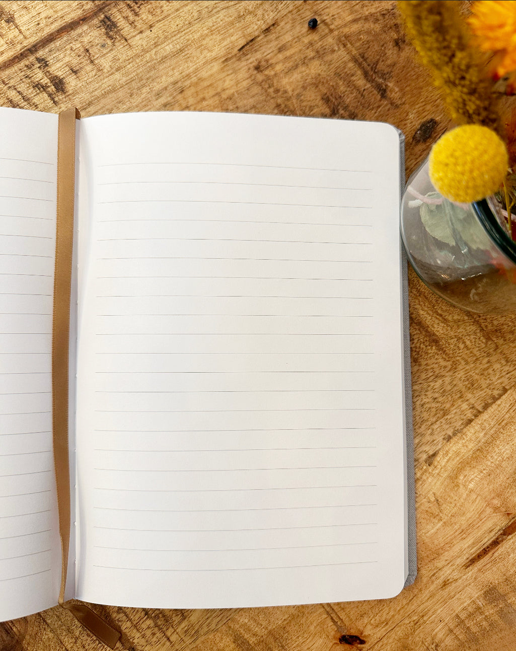 Jeremiah 29:11 Journal